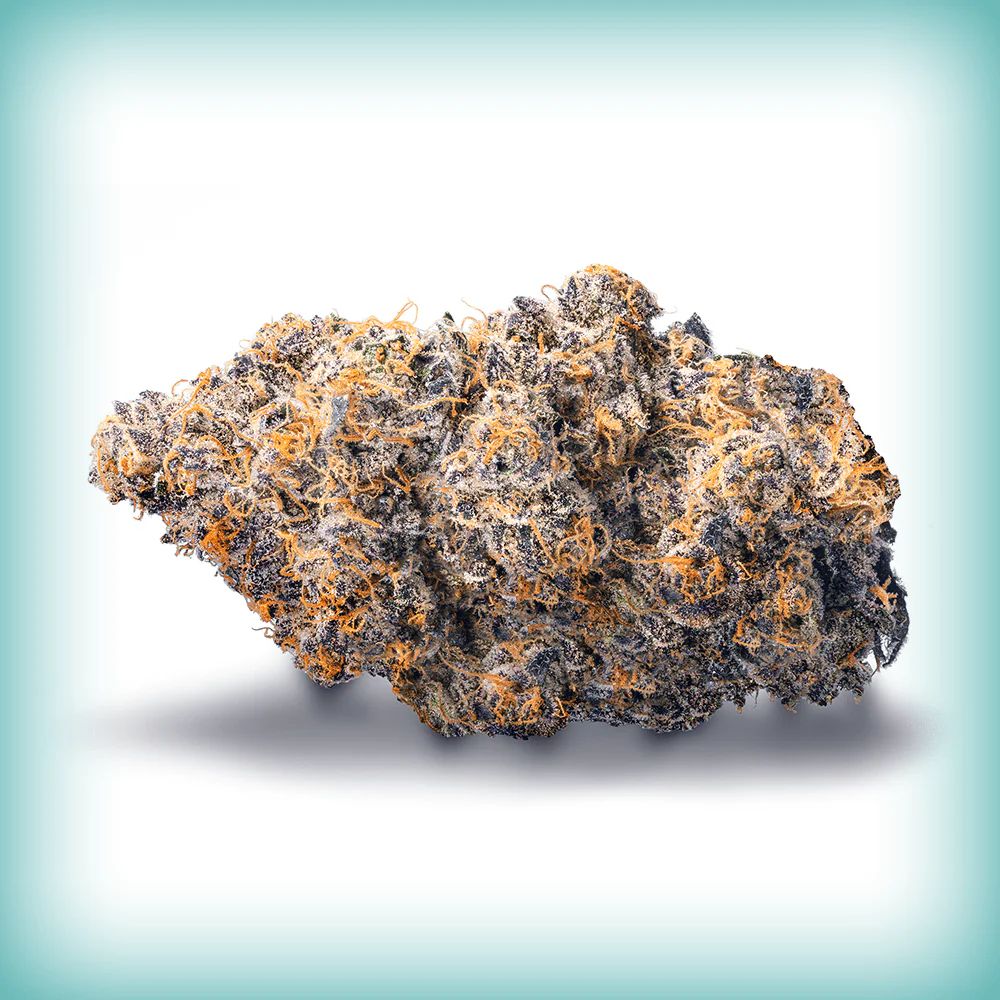 Best Place To Buy THCA Flower