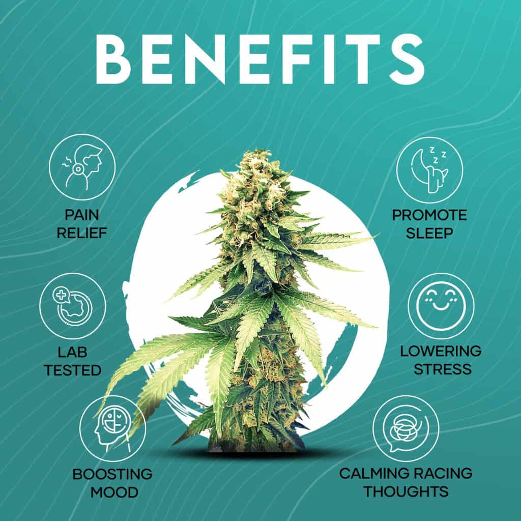 Permanent Marker - Image 5