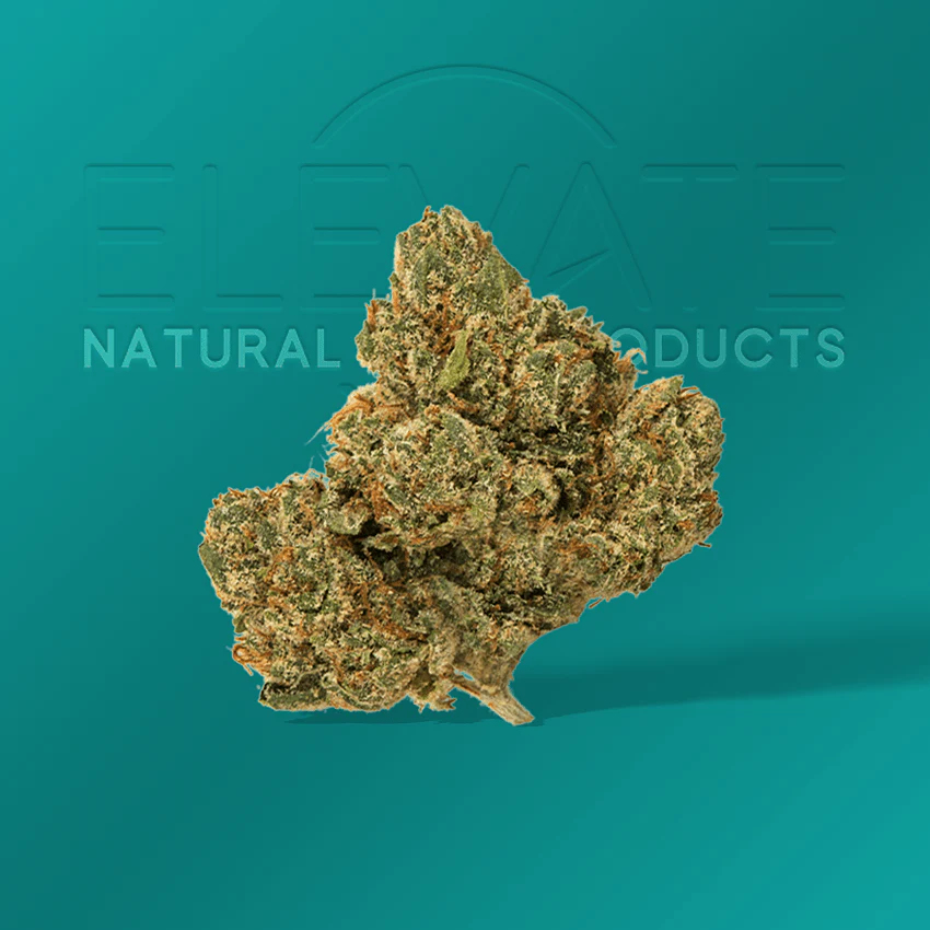 Hardcore OG - Image 3