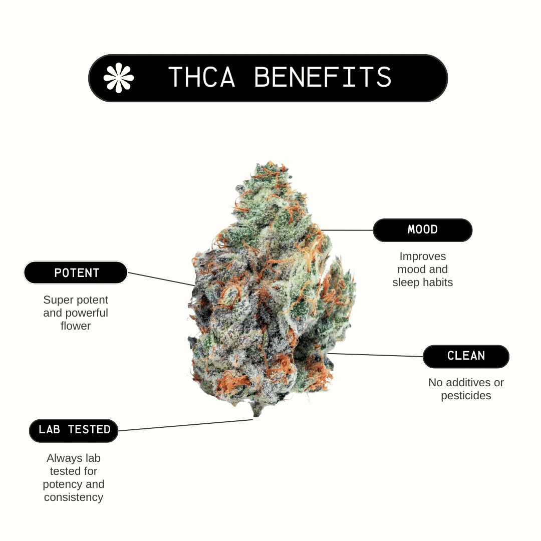 Lemon Cherry Gelato - Image 4